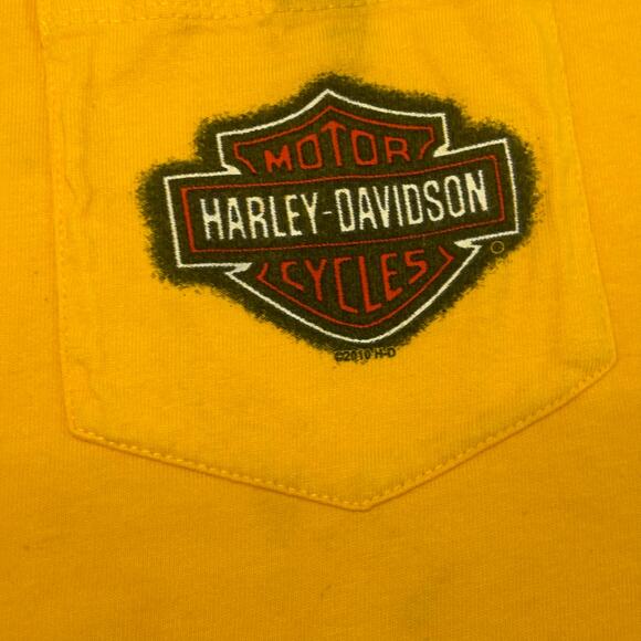 Harley Davidson Freedom Bald Eagle Flames Yellow Black Red Mens XL Biker T-Shirt - Picture 11 of 13